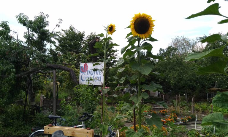 Bunte Gärten Leipzig e. V. Ein Gemeinschaftsgarten im Leipziger Osten